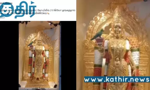 மதுரை மீனாட்சி அம்மன் கோயில்.. 210 கிலோ தங்கத்தில் அம்மன் சிலை பிரதிஷ்டை.. உண்மை என்ன?