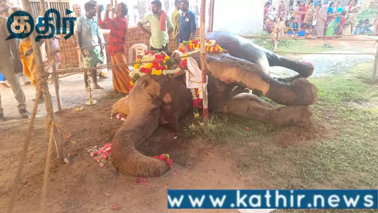 குன்றக்குடி-கோயில்-யானை-சுப்புலட்சுமி-தீ-விபத்தில்-இறப்பு:-கோவில்-நிர்வாகத்தில்-அலட்சியம்-காட்டும்-இந்து-சமய-அறநிலையத்துறை!!