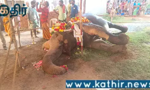 குன்றக்குடி கோயில் யானை சுப்புலட்சுமி தீ விபத்தில் இறப்பு: கோவில் நிர்வாகத்தில் அலட்சியம் காட்டும் இந்து சமய அறநிலையத்துறை!!