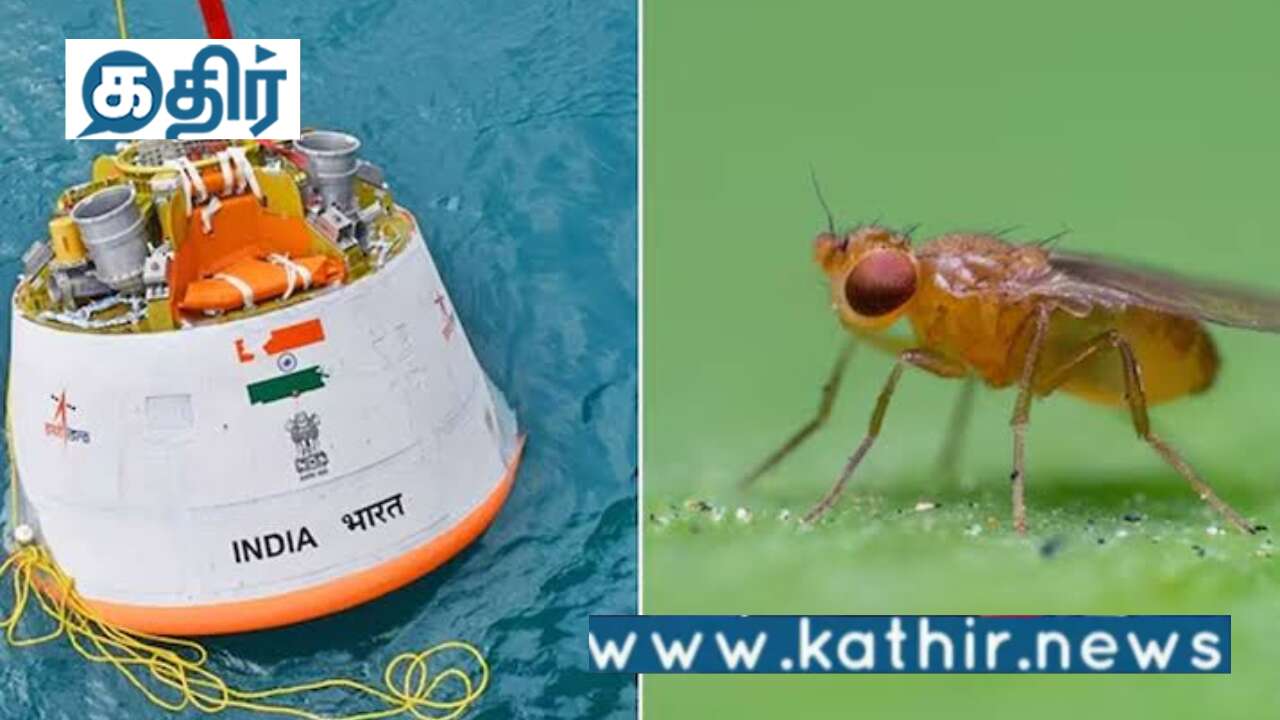 ராக்கெட்டில் ஈக்கள்:ககன்யான் முதல் பயணத்தில்  இஸ்ரோ திட்டம்!