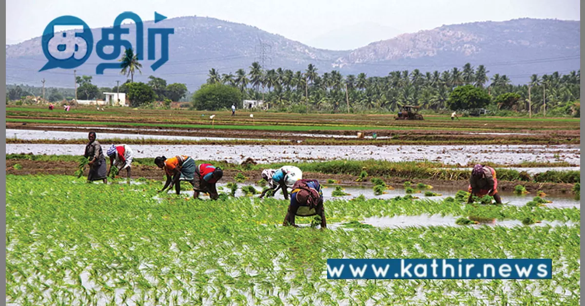 பிரதமரின் விவசாயிகள் வருமான பாதுகாப்பு இயக்கம்: மத்திய அரசு ஒப்புதல்!
