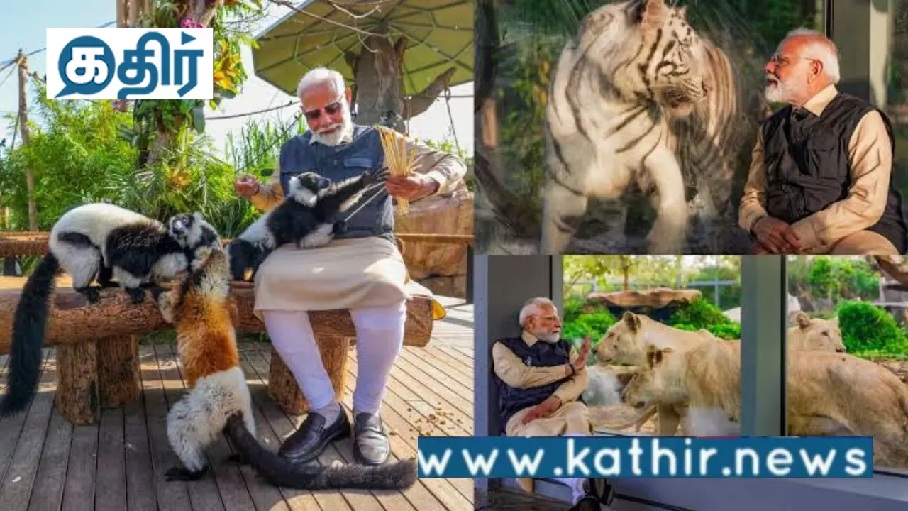 வனவிலங்குகளின் பாதுகாப்பை அதிகரித்து ஒன்றரை லட்சம் உயிரினங்களுக்கு புகலிடத்தை உருவாக்கிய மோடி அரசு!