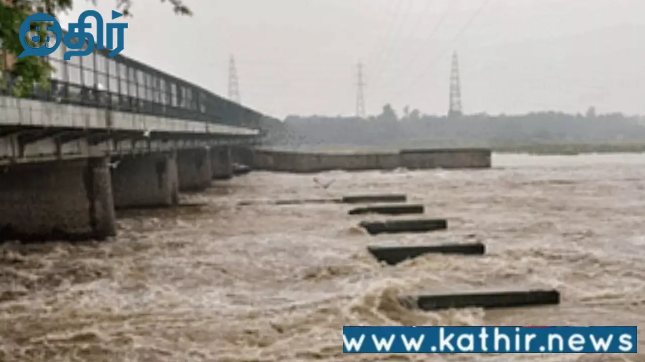 யமுனை நதியில் இருந்து 10 நாட்களில் 1,300 மெட்ரிக் டன் கழிவுகள் அகற்றம்:வாக்குறுதியை நிறைவேற்றும் பாஜக!