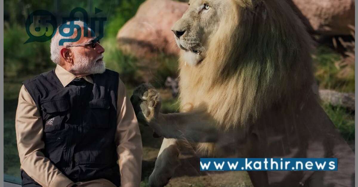 பிரதமர் மோடி சிங்கத்தை புகைப்படம் எடுத்தாரா? உண்மை என்ன?