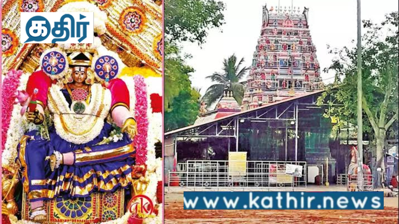 நினைத்ததை நிறைவேற்றும் பட்டுக்கோட்டை நாடியம்மன்!