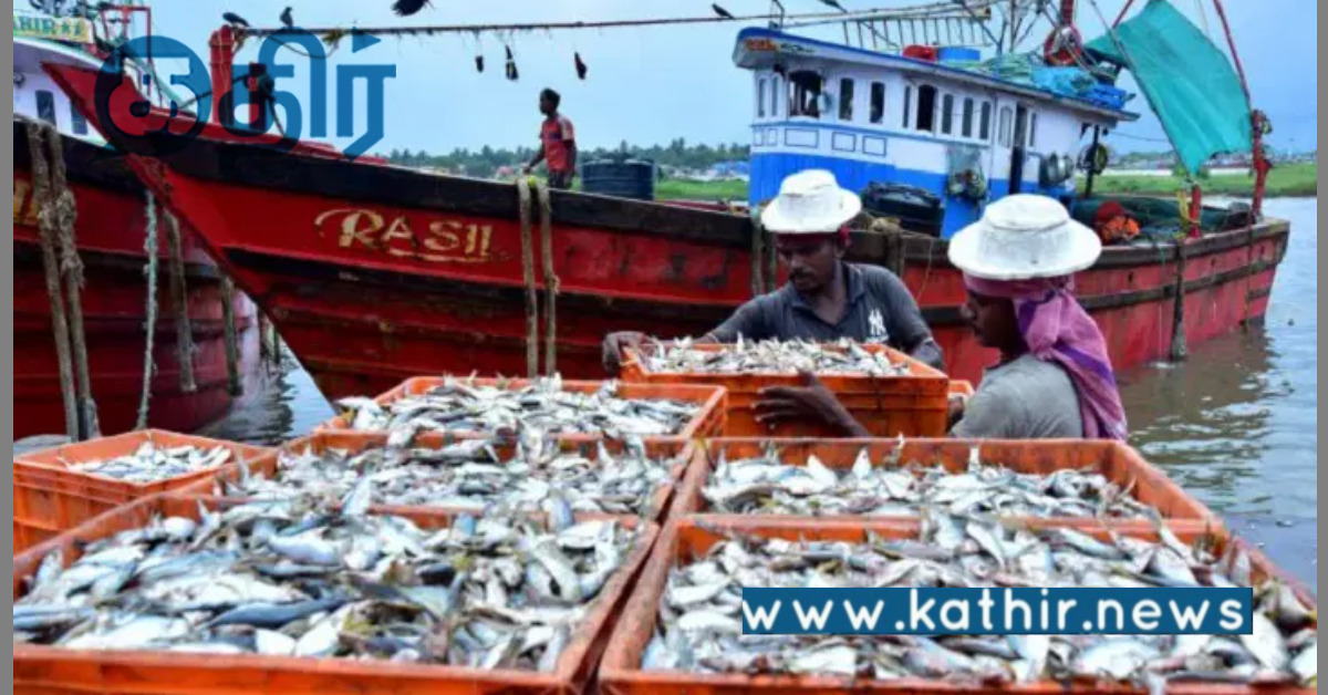 மீன்வளத்துறைக்கு ரூ.1573.73 கோடி நிதி ஒதுக்கீடு: 64 திட்டங்கள் தமிழ்நாட்டுக்கு மத்திய அரசு அனுமதி!