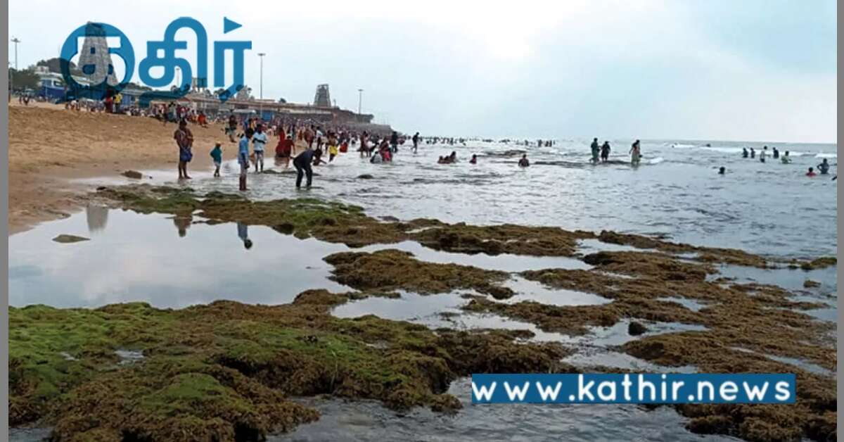 திருச்செந்தூர் கோயிலில் உள்வாங்கிய கடல் நீர்: உண்மை என்ன?