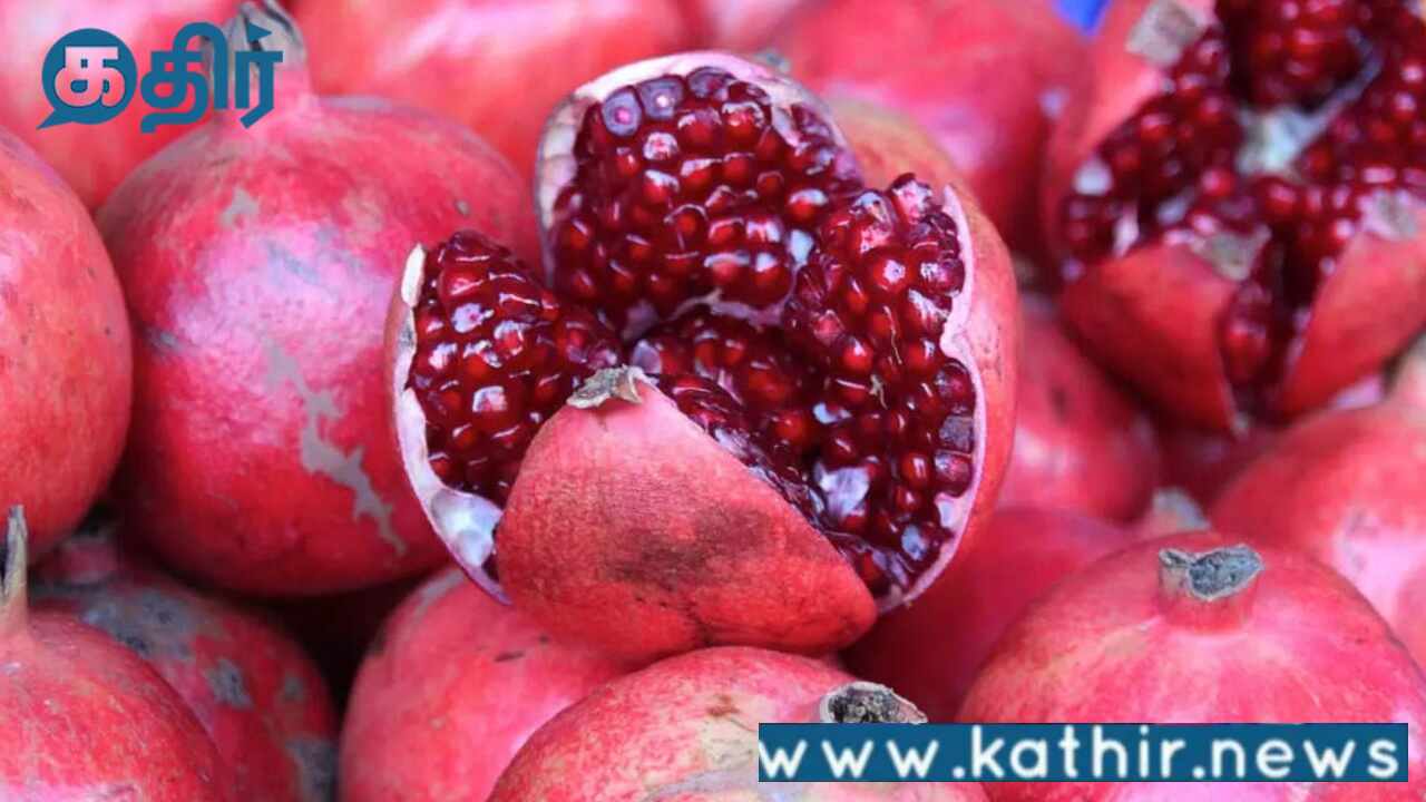 பழங்கள் ஏற்றுமதியில் 47 சதவீதம் அதிகரிப்பை எட்டிய இந்தியா!