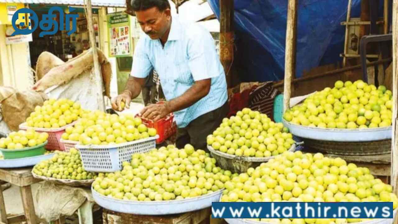 புளியங்குடி எலுமிச்சைக்கு கிடைத்த புவிசார் குறியீடு!சொல்லி அடித்த அண்ணாமலை!