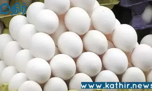 திருவண்ணாமலையில் சத்துணவு முட்டை கேட்ட மாணவனை தாக்கிய சத்துணவு ஊழியர்கள்!