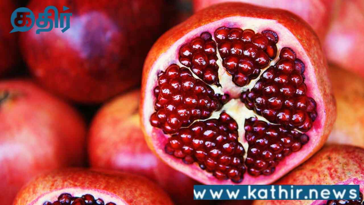 மகாராஷ்டிராவிலிருந்து அமெரிக்காவிற்கு முதல் முறையாக கப்பல் மூலம் மாதுளை ஏற்றுமதி:அபேடாவின் அசத்தல் முயற்சி!