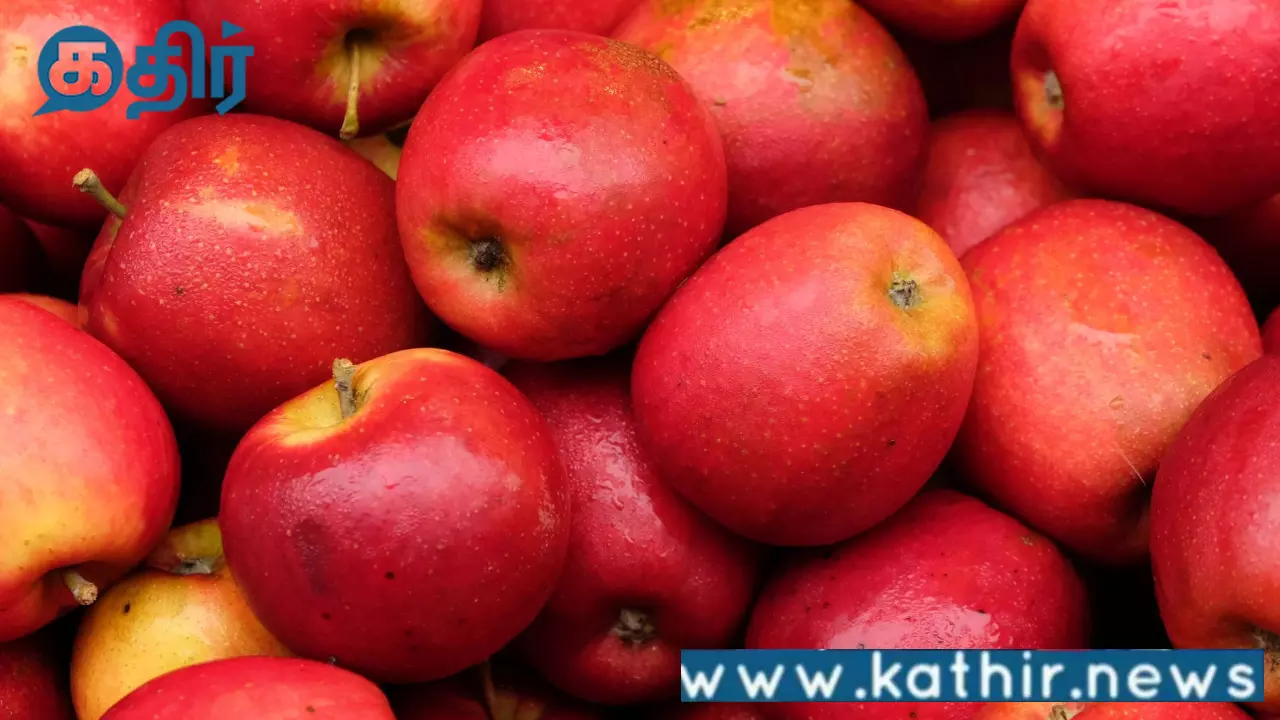 பாகிஸ்தானுக்கு உதவிய துருக்கி: இந்திய ஆப்பிள் வியாபாரிகள் எடுத்த அதிரடி முடிவு!நஷ்டமடையும் துருக்கி! பாகிஸ்தானுக்கு உதவிய துருக்கி: இந்திய ஆப்பிள் வியாபாரிகள் எடுத்த அதிரடி முடிவு!நஷ்டமடையும் துருக்கி!