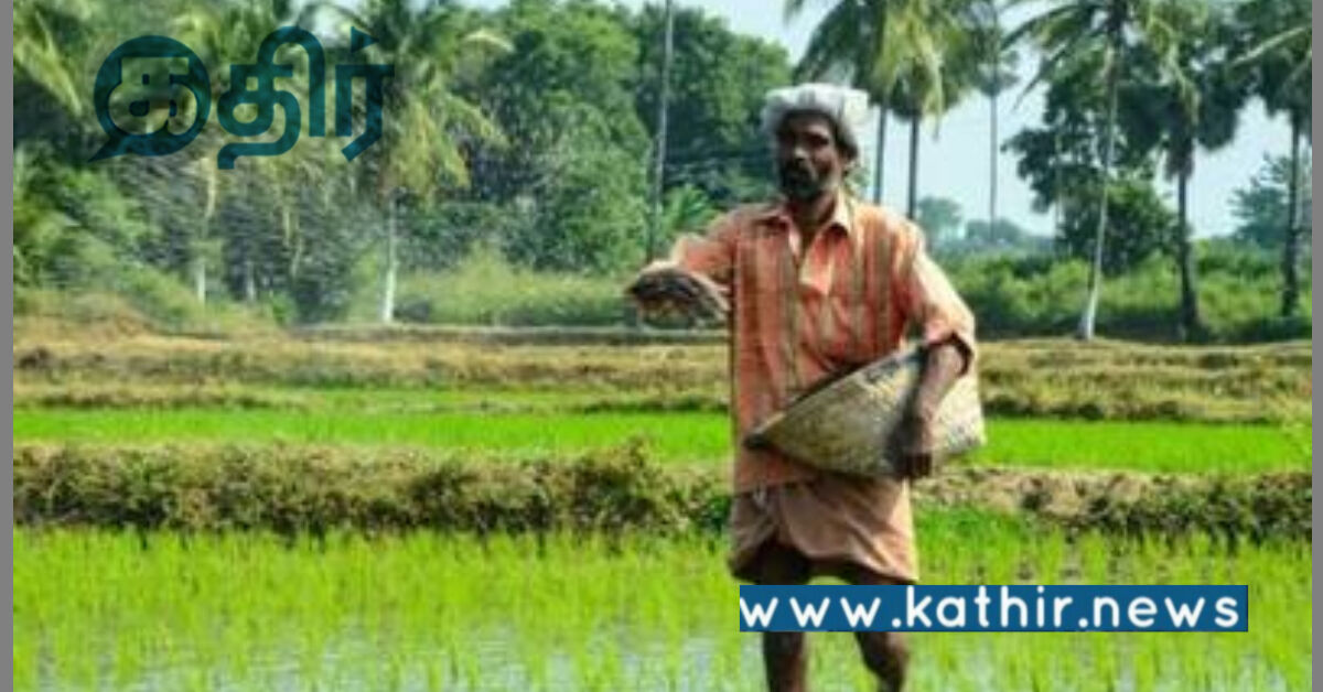 காரீப் பயிர்களுக்கான குறைந்தபட்ச ஆதரவு விலை: அதிகரிக்க ஒப்புதல் வழங்கிய மோடி அரசு!