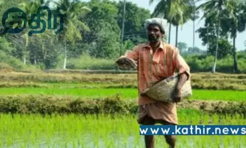 காரீப் பயிர்களுக்கான குறைந்தபட்ச ஆதரவு விலை: அதிகரிக்க ஒப்புதல் வழங்கிய மோடி அரசு!