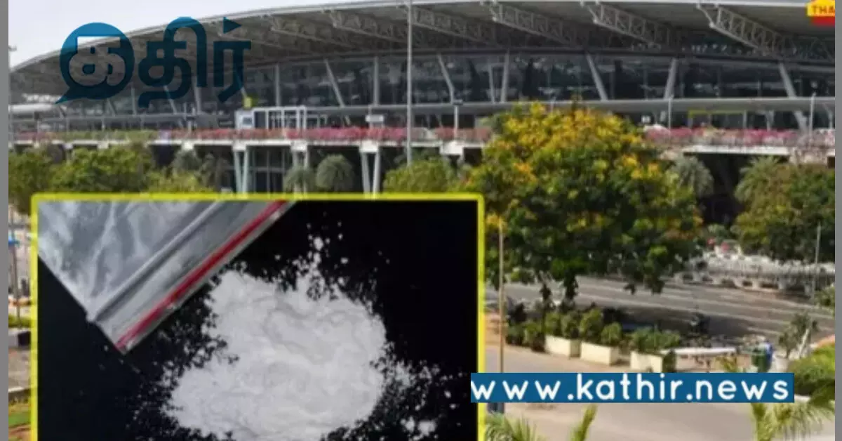 சென்னை விமான நிலையம்: 2416 கிராம் கஞ்சாவை சுங்கத்துறை அதிகாரிகள் பறிமுதல்!