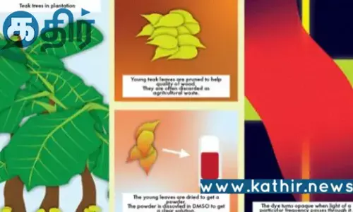 கண்களைப் பாதுகாக்கும் இயற்கை லேசர் கவசம்: தேக்கு இலையின் அற்புதமான பயன்பாடு!