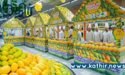 இந்திய மாம்பழ மேனியா 2025: இந்திய விவசாயிகள் உற்சாகம்!