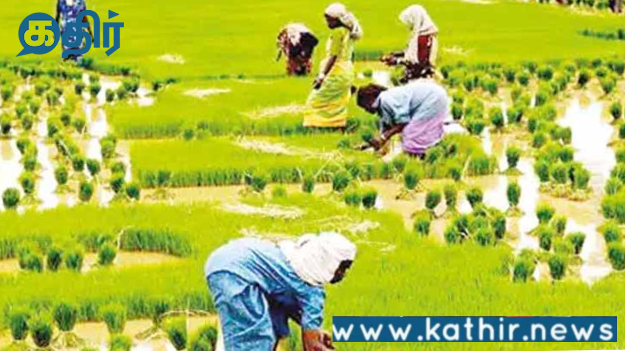 வேளாண் உற்பத்தியை பெருக்க மத்திய அரசின் புதிய ஒப்புதல்:ரூ24,000 கோடி ஒதுக்கீடு!