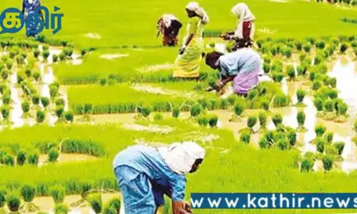 வேளாண் உற்பத்தியை பெருக்க மத்திய அரசின் புதிய ஒப்புதல்:ரூ24,000 கோடி ஒதுக்கீடு!