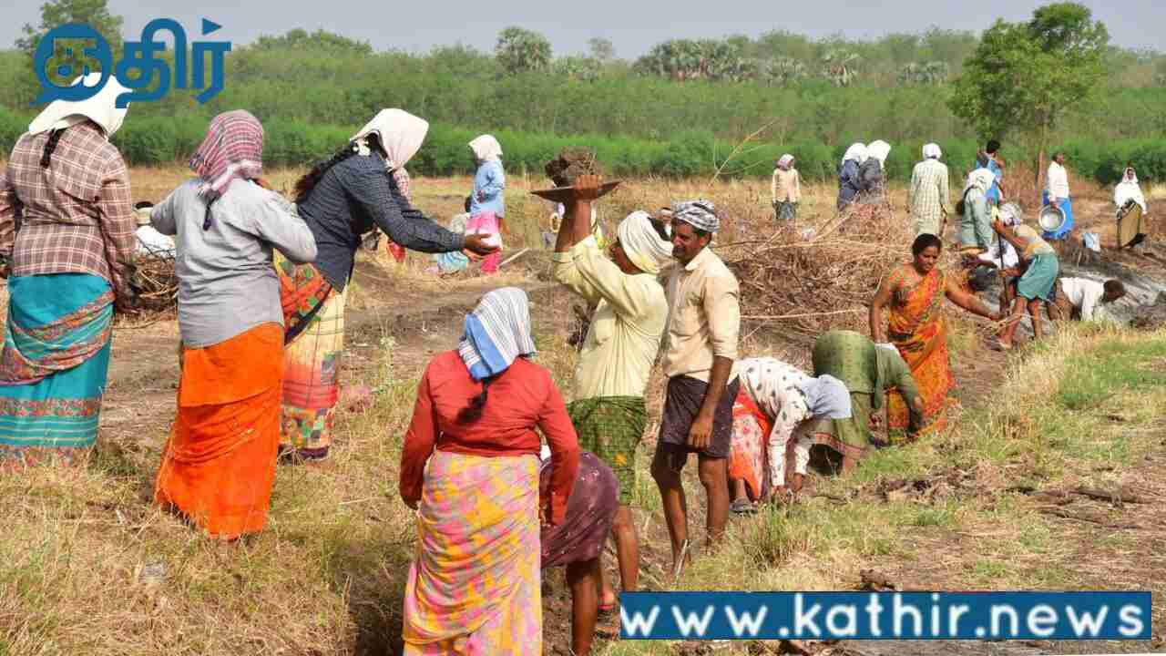 மகாத்மா காந்தி தேசிய ஊரக வேலைவாய்ப்பு திட்டத்தில் தமிழகத்திற்கு மத்திய அரசு விடுவித்த தொகை இவ்வளவா!
