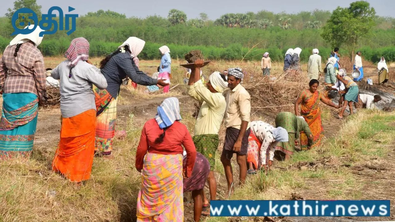 மகாத்மா காந்தி தேசிய ஊரக வேலைவாய்ப்பு திட்டத்தில் தமிழகத்திற்கு மத்திய அரசு விடுவித்த தொகை இவ்வளவா!