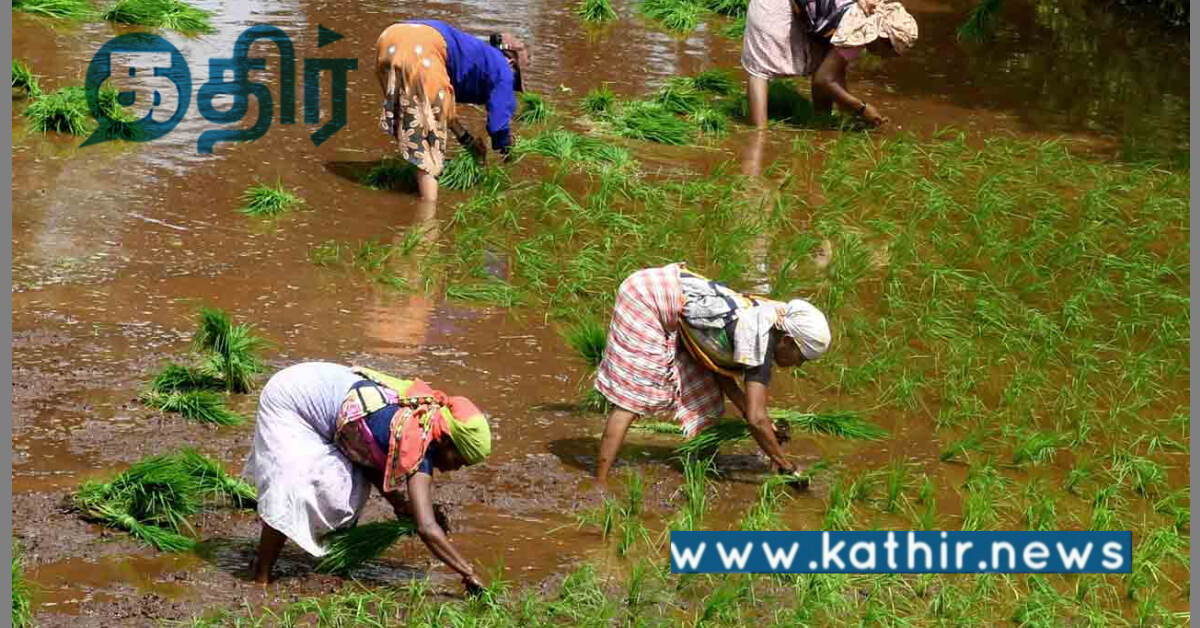 தமிழ்நாடு வேளாண் உற்பத்தியை அதிகரிப்பு: 1 கோடியே 53 லட்சம் மண்வள அட்டைகள் விநியோகம்!