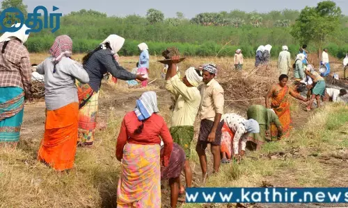 மகாத்மா காந்தி தேசிய ஊரக வேலைவாய்ப்பு திட்டத்தில் தமிழகத்திற்கு மத்திய அரசு விடுவித்த தொகை இவ்வளவா!