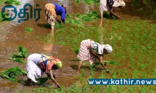 தமிழ்நாடு வேளாண் உற்பத்தியை அதிகரிப்பு: 1 கோடியே 53 லட்சம் மண்வள அட்டைகள் விநியோகம்!