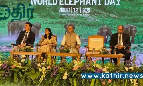 தமிழ்நாட்டில் சுற்றுலாவை மேம்படுத்தும் மோடி அரசு: விரைவில் 4 படகுத்துறைகள்! தமிழ்நாட்டில் சுற்றுலாவை மேம்படுத்தும் மோடி அரசு: விரைவில் 4 படகுத்துறைகள்!