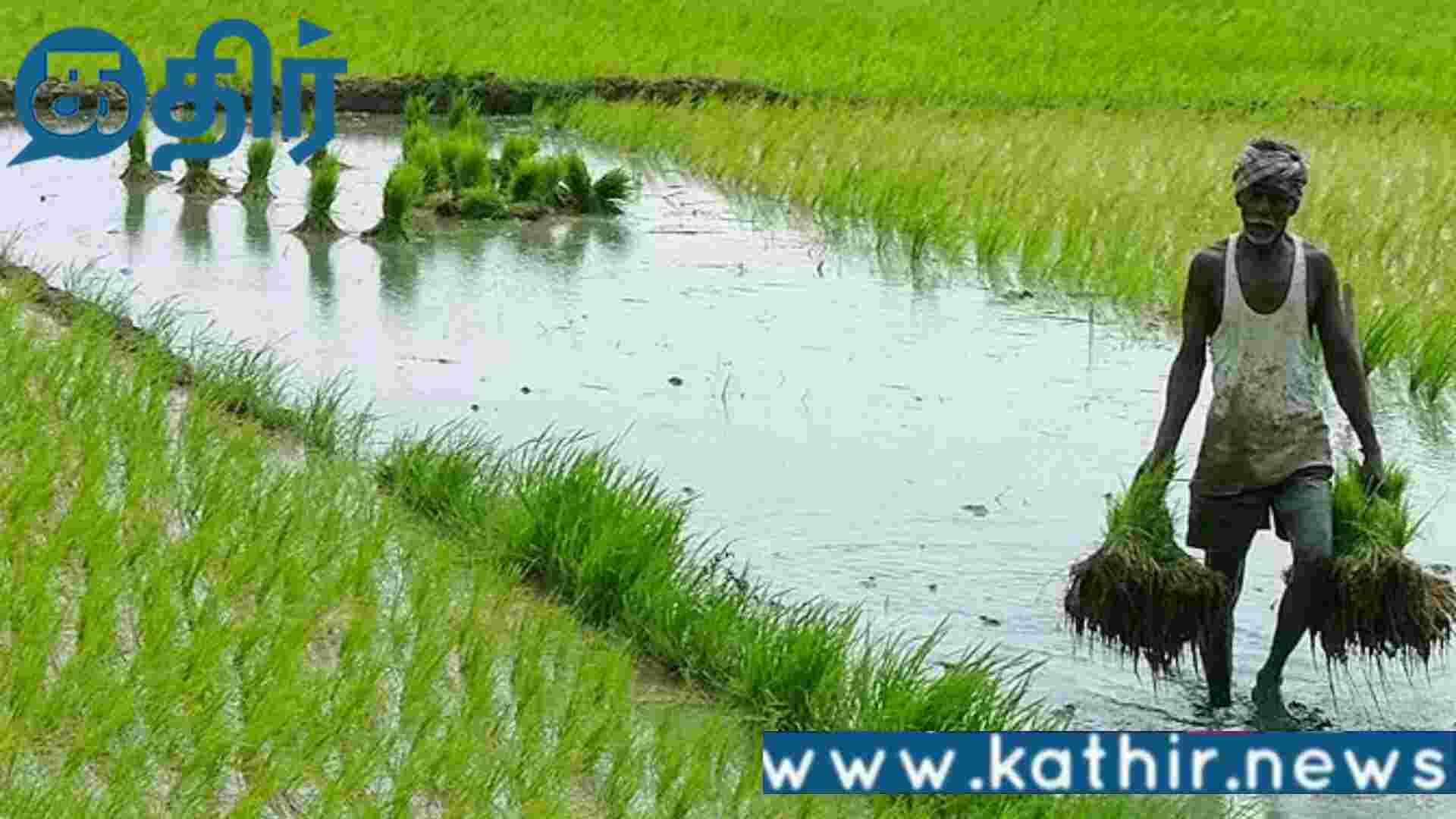 விவசாயிகளின் வங்கி கணக்கில் ரூ.2000!! தீபாவளியை முன்னிட்டு மத்திய அரசு திட்டம்!!