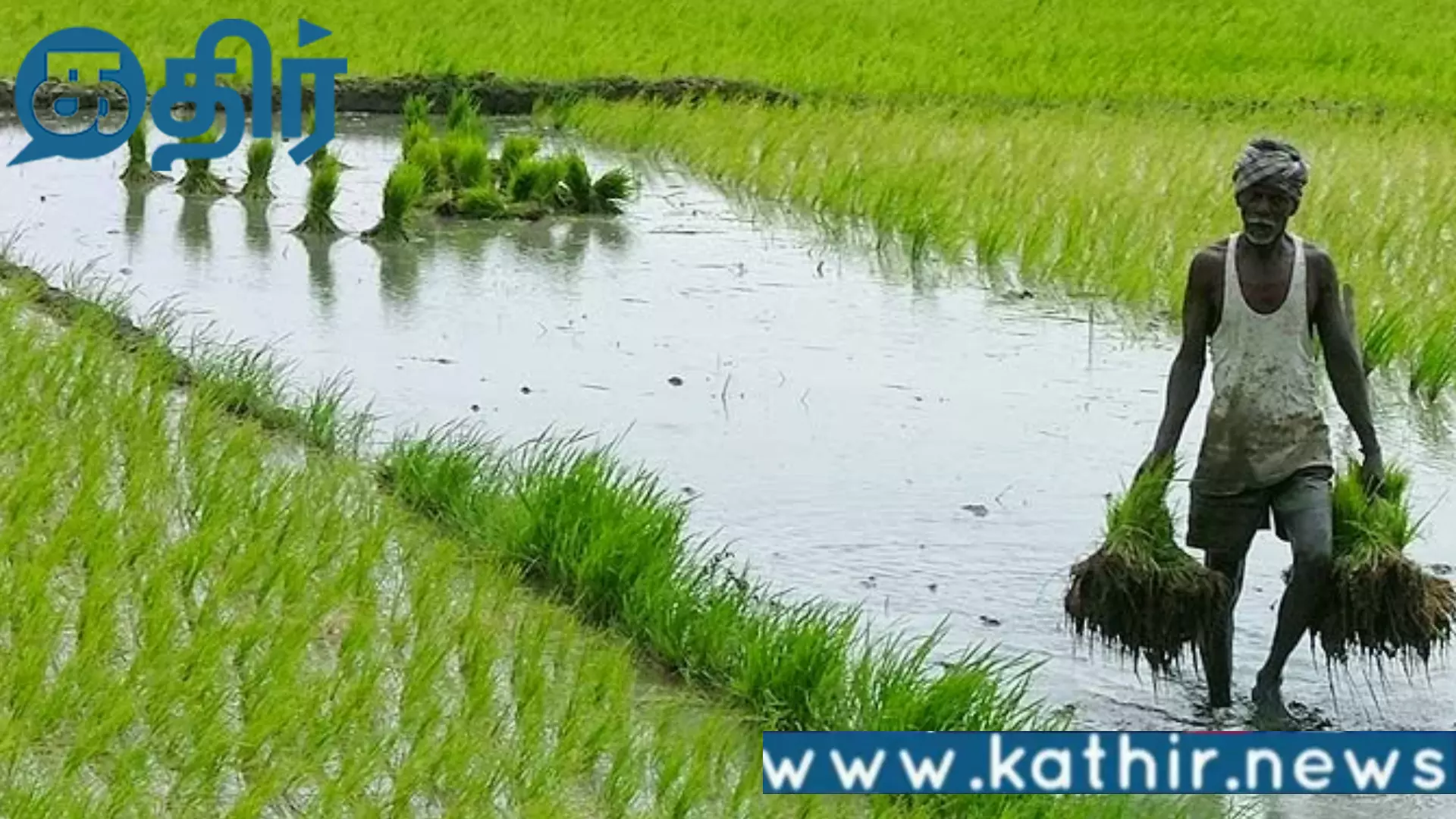 விவசாயிகளின் வங்கி கணக்கில் ரூ.2000!! தீபாவளியை முன்னிட்டு மத்திய அரசு திட்டம்!! விவசாயிகளின் வங்கி கணக்கில் ரூ.2000!! தீபாவளியை முன்னிட்டு மத்திய அரசு திட்டம்!!