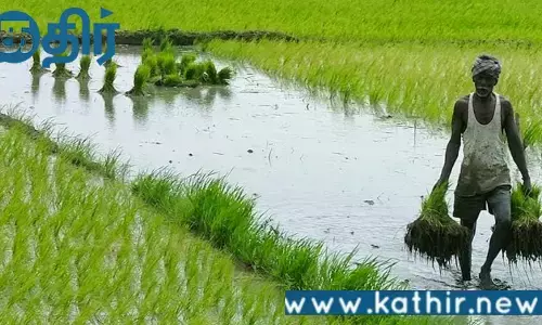 விவசாயிகளின் வங்கி கணக்கில் ரூ.2000!! தீபாவளியை முன்னிட்டு மத்திய அரசு திட்டம்!!