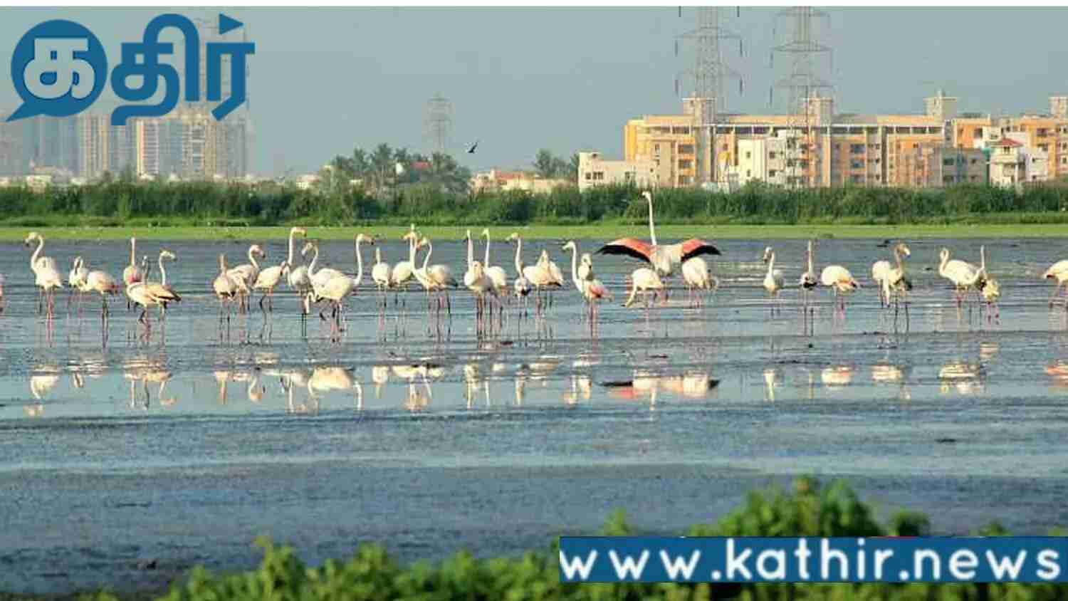 பள்ளிக்கரணை சதுப்பு நில பகுதியில் கட்டிடமா?? துணை நிற்கிறதா திமுக அரசு!!