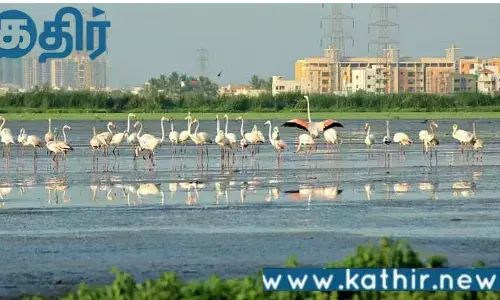 பள்ளிக்கரணை சதுப்பு நில பகுதியில் கட்டிடமா?? துணை நிற்கிறதா திமுக அரசு!!