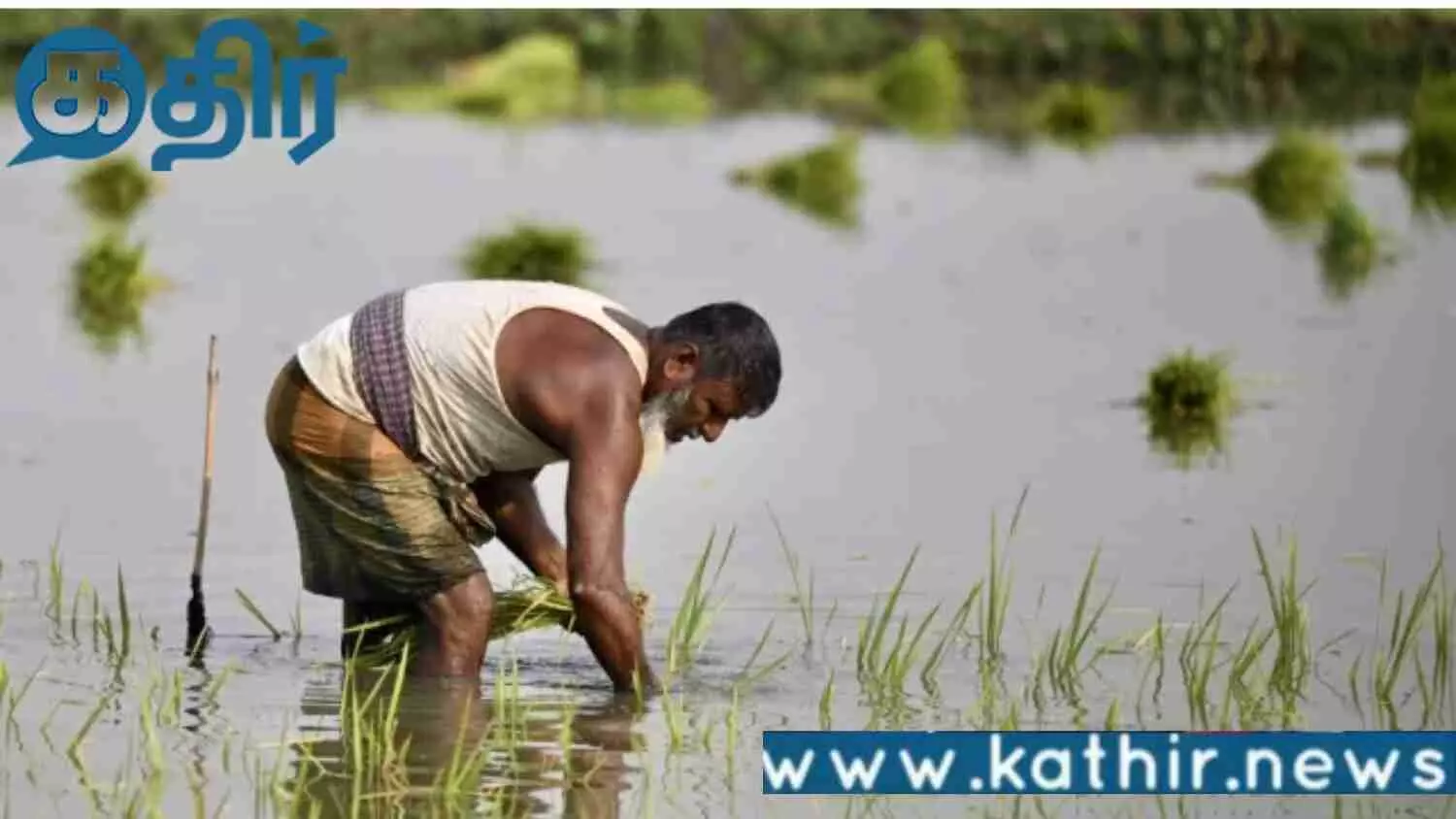 விவசாயிகளின் வங்கி கணக்கில் விழப்போகும் ரூ.2000..! இன்னும் பதிவு செய்யவில்லையா உடனே பதிவு பண்ணுங்க! விவசாயிகளின் வங்கி கணக்கில் விழப்போகும் ரூ.2000..! இன்னும் பதிவு செய்யவில்லையா உடனே பதிவு பண்ணுங்க!