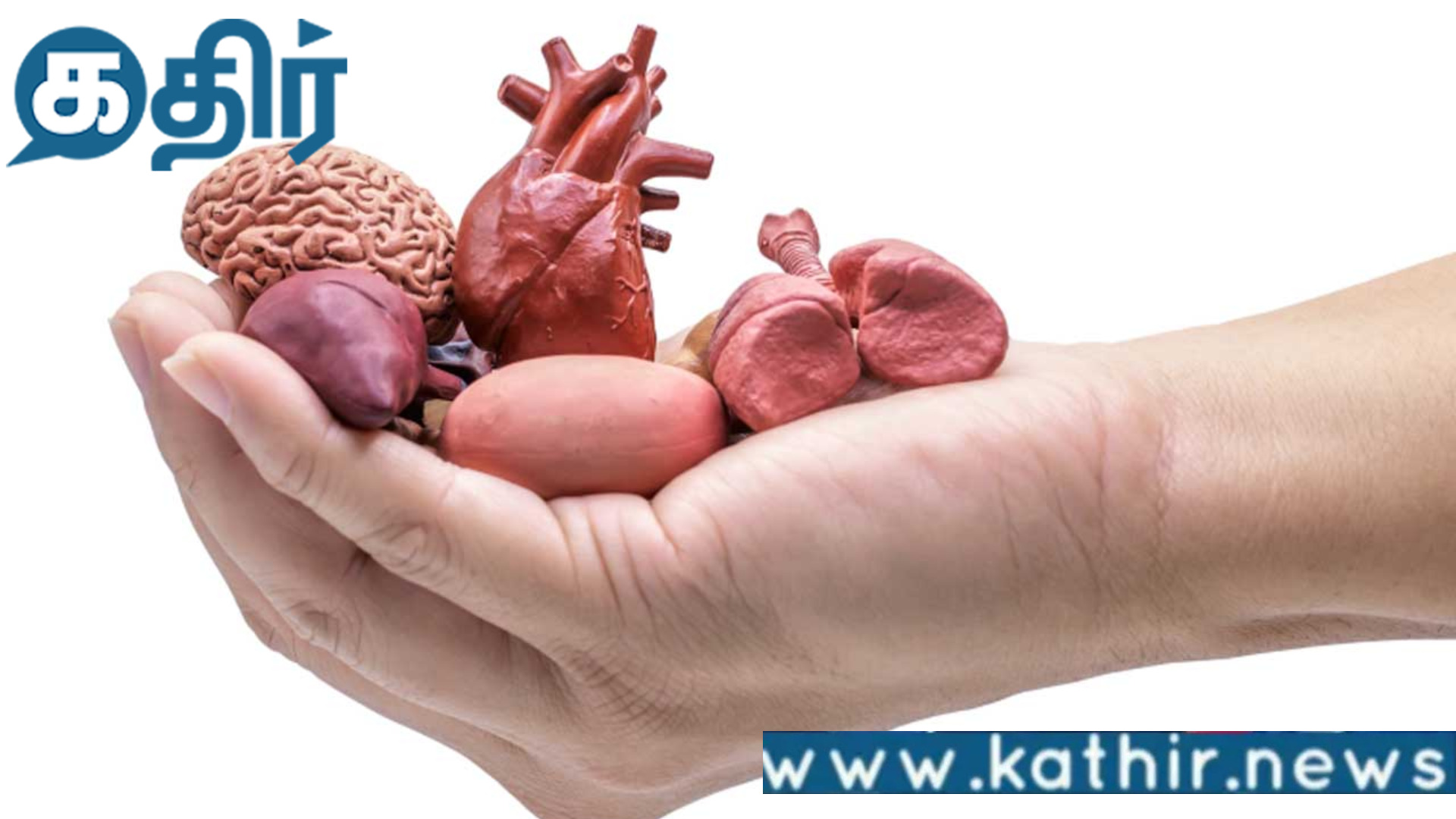 உடல் உறுப்பு தானத்தை முறைப்படுத்துவதற்கு தேசிய கொள்கை வலியுறுத்தி மத்திய அரசுக்கு உத்தரவு!!