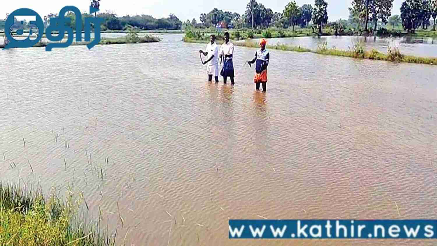 கடல் போல் காட்சியளிக்கும் டெல்டா மாவட்ட வயல்கள்! சேதம் அடைந்த நிலையில் 5 லட்சம் ஏக்கர் நெற்பயிர்கள்!