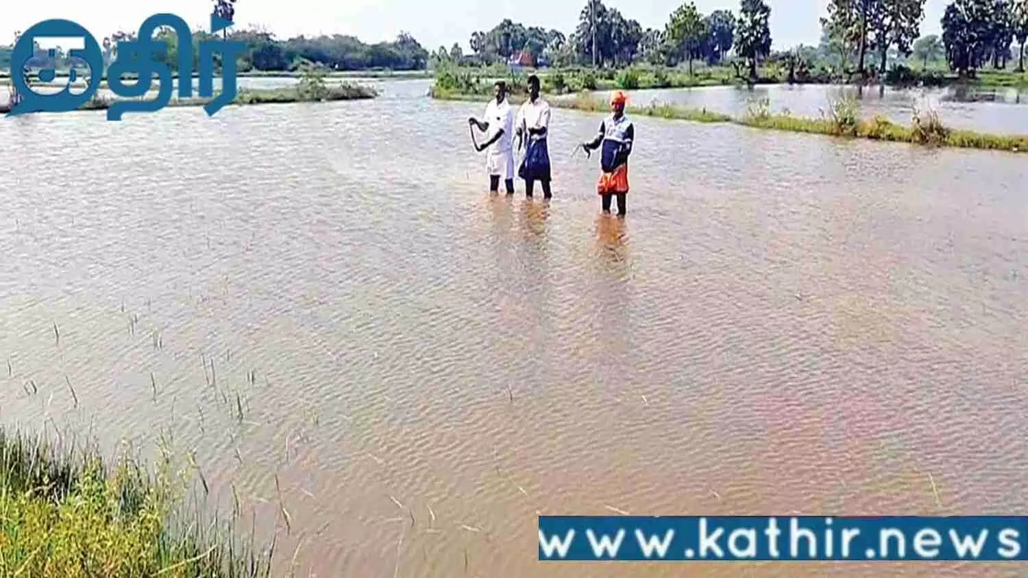கடல் போல் காட்சியளிக்கும் டெல்டா மாவட்ட வயல்கள்! சேதம் அடைந்த நிலையில் 5 லட்சம் ஏக்கர் நெற்பயிர்கள்!