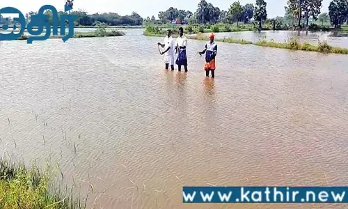 கடல் போல் காட்சியளிக்கும் டெல்டா மாவட்ட வயல்கள்! சேதம் அடைந்த நிலையில் 5 லட்சம் ஏக்கர் நெற்பயிர்கள்!